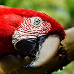 Online privé traject