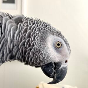 Hulp bij angst en stress