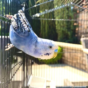 Privé traject aan huis