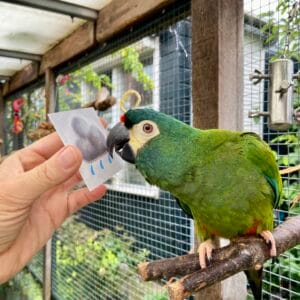 Communiceren met pictogrammen