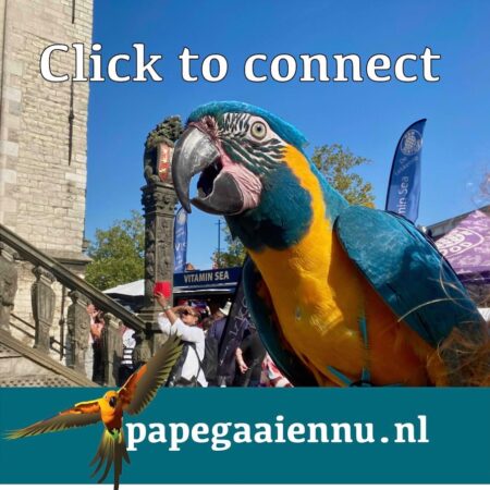 Click op locatie in Den Haag!