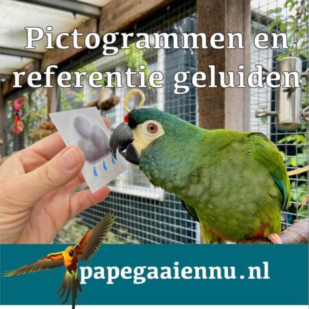 Picto op locatie in Den Haag!