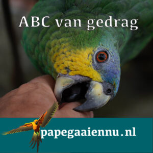 ABC op locatie in Den Haag!