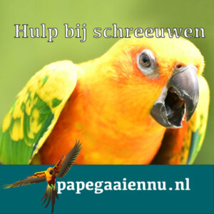 Schreeuwen op locatie in Den Haag!