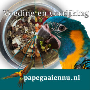 Voeding op locatie in Den Haag!